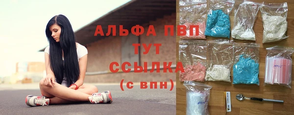 крисы Зерноград
