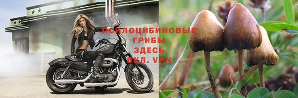 трава Заволжье