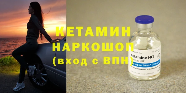 твердый Заводоуковск