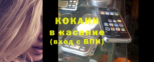 твердый Заводоуковск