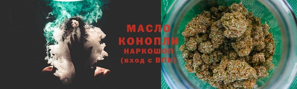 твердый Заводоуковск