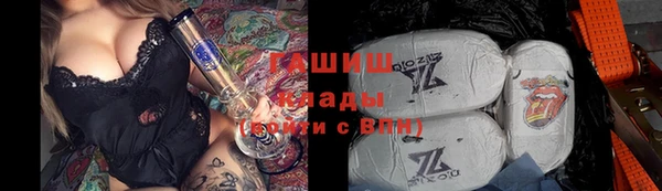 твердый Заводоуковск