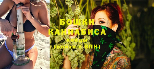 твердый Заводоуковск
