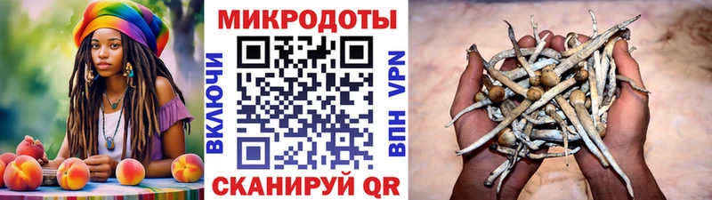 Псилоцибиновые грибы мухоморы  Купить закладки  Киренск 